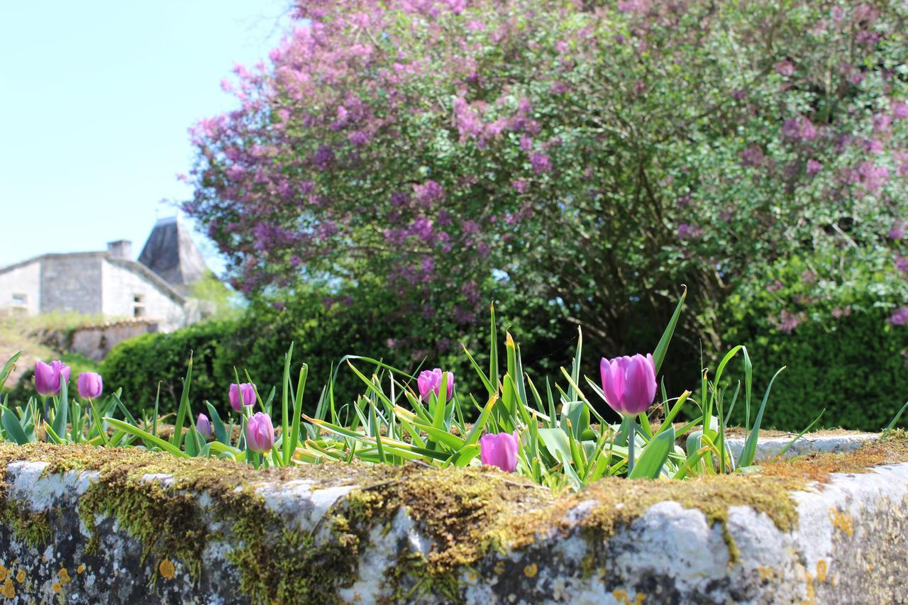 Chateau De Sers Sers  Eksteriør billede
